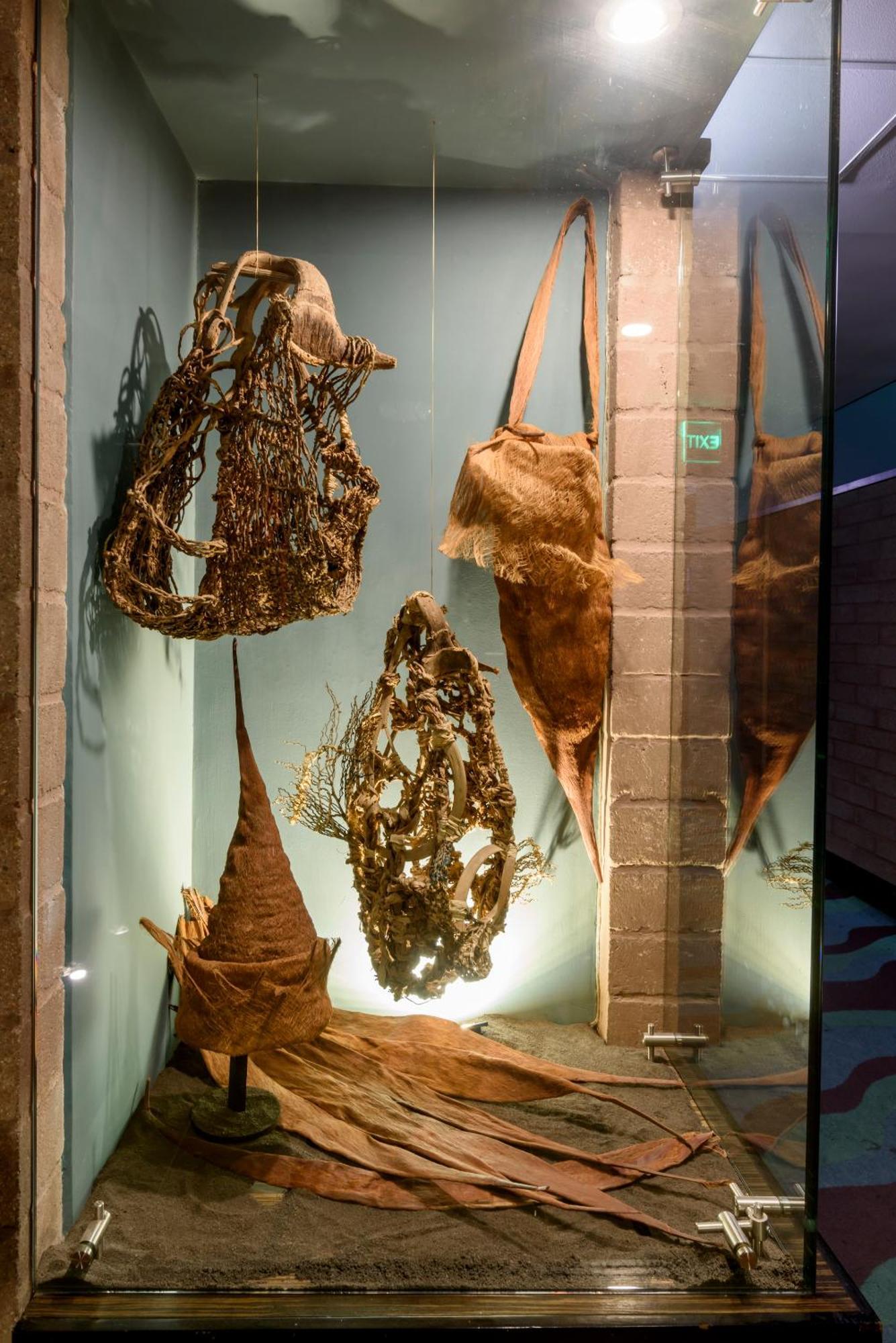 Diez Hotel Categoria Colombia Medellin Exterior photo Fossil of the Late Cretaceous spinosaurid dinosaur Delphinapterus