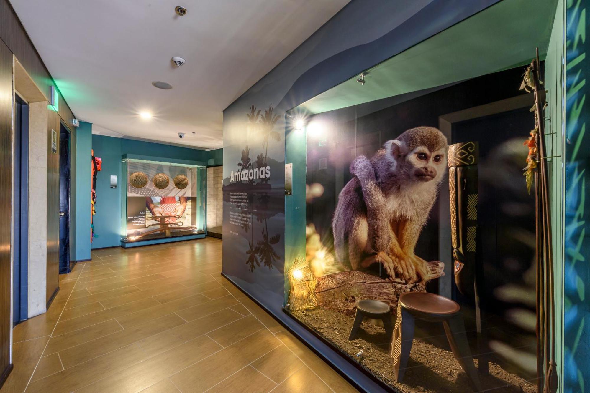 Diez Hotel Categoria Colombia Medellin Exterior photo The Primate House